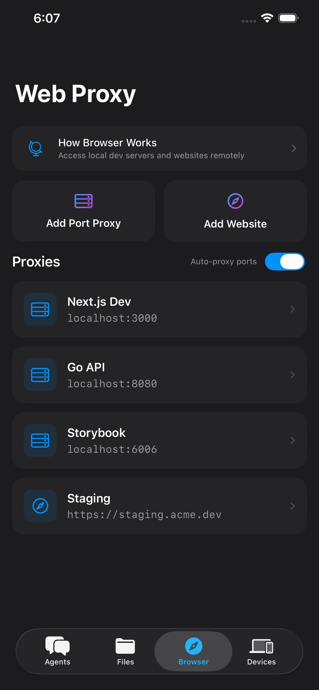 Profile and web proxy